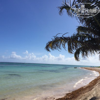 фото из отзыва ID 1324185