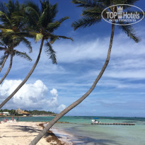 фото из отзыва ID 1324185