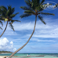 фото из отзыва ID 1324185