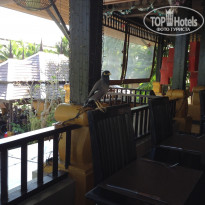 фото из отзыва ID 1323130