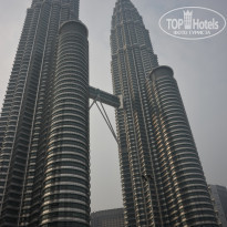 фото из отзыва ID 1324350