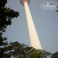 фото из отзыва ID 1324350