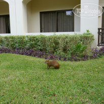 фото из отзыва ID 1324399