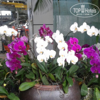 фото из отзыва ID 1324442