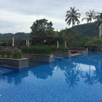 фото из отзыва ID 1324628