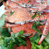 фото из отзыва ID 1324637