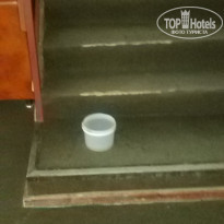 фото из отзыва ID 1324660