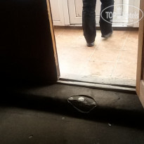 фото из отзыва ID 1324660