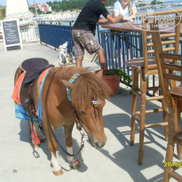 фото из отзыва ID 1324682