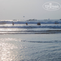 фото из отзыва ID 1324771