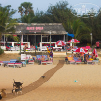 фото из отзыва ID 1324771