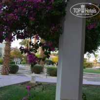 фото из отзыва ID 1324809