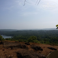 фото из отзыва ID 1324823