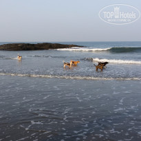 фото из отзыва ID 1324823