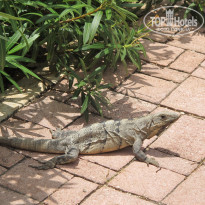 фото из отзыва ID 1324824