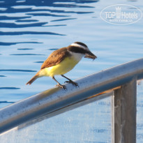 фото из отзыва ID 1324824