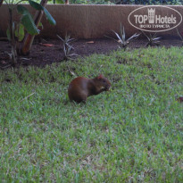 фото из отзыва ID 1324824