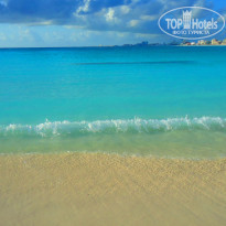 фото из отзыва ID 1324882