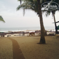 фото из отзыва ID 1324975