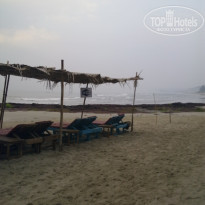 фото из отзыва ID 1324975