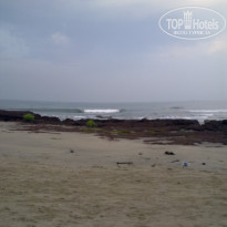 фото из отзыва ID 1324975