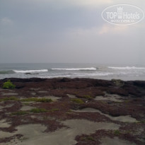 фото из отзыва ID 1324975