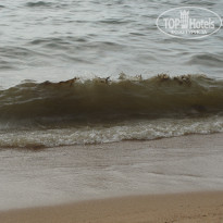 фото из отзыва ID 1325023