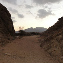 фото из отзыва ID 1324564