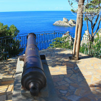 фото из отзыва ID 1324280