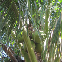 фото из отзыва ID 1325132