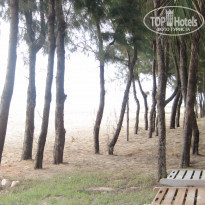 фото из отзыва ID 1325132