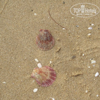 фото из отзыва ID 1325132