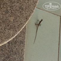 фото из отзыва ID 1324947