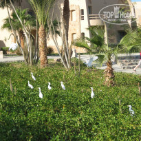 фото из отзыва ID 1325227