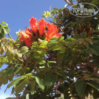 фото из отзыва ID 1325229