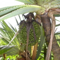 фото из отзыва ID 1325259