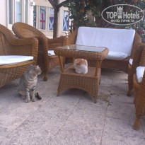 фото из отзыва ID 1325412