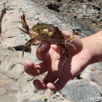 фото из отзыва ID 1325428