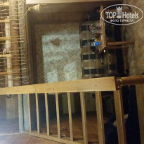 фото из отзыва ID 1325476