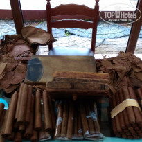 фото из отзыва ID 1325482