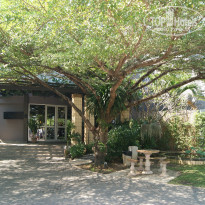 фото из отзыва ID 1325555