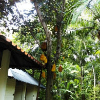 фото из отзыва ID 1325653