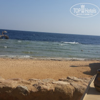 фото из отзыва ID 1325679