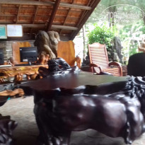 фото из отзыва ID 1325752