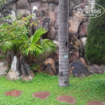 фото из отзыва ID 1325752