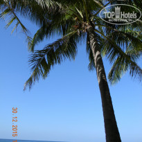 фото из отзыва ID 1325787