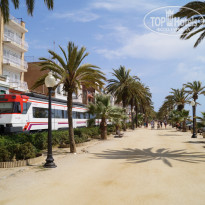 фото из отзыва ID 1325908