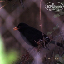 фото из отзыва ID 1325922