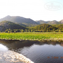 фото из отзыва ID 1325922