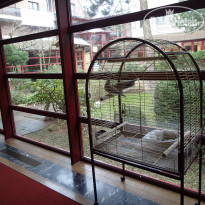 фото из отзыва ID 1326028